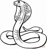 Cobra Coloring King Pages Color Online Snake Kids Egyptian sketch template