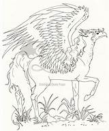 Hippogriff Coloring Pages Book Potter Harry Printable Getcolorings Getdrawings Deviantart sketch template