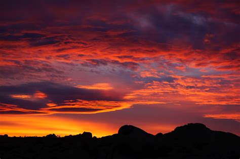 desert sunset  joshua tree national park anne mckinnell photography