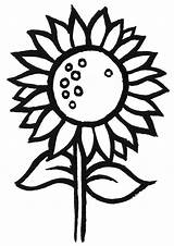 Sunflower Coloring Pages Simple Kids Printable Flower Clipart Sunflowers Color Drawing Colouring Print Coloring4free Template Cliparts Cartoon Cute Getdrawings Pattern sketch template