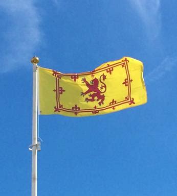 printed rampant lion flags flagpole express