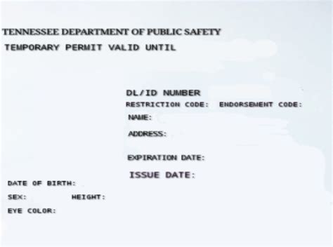 texas temporary paper id template  historydast