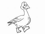 Goose sketch template