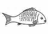 Fish Coloring Pages Colouring Print Kids Food sketch template