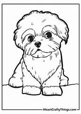 Puppy Iheartcraftythings sketch template