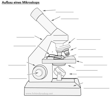 aufbau eines mikroskops lichtmikroskop