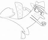 Platypus Perry Coloring Pages Kick Drawing Step Printable Popular Getdrawings Library Clipart sketch template