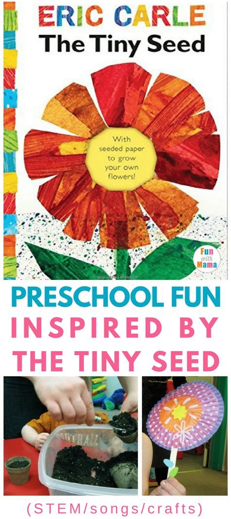 tiny seed awesome activities  enjoy   preschooler fun