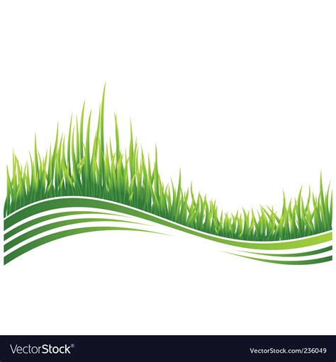 green grass royalty  vector image vectorstock