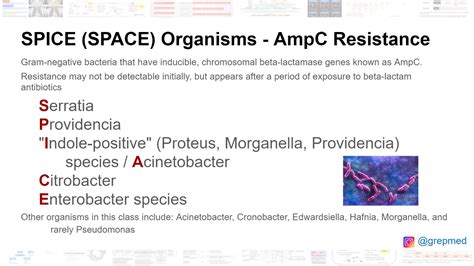 spice space organisms gram negative bacteria  grepmed