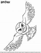 Hedwig Eule Owl Dobby Malvorlage Ausmalen Hogwarts Elf Coloringlibrary Malen Draco Lechuza Malfoy Vorlagen Lechuzas Abrir sketch template