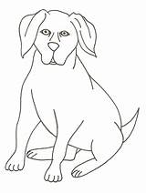 Chien Gros Hunde Coloringpagebook Ancenscp Malvorlagen Among sketch template