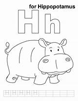Coloring Hippo Hippopotamus Pages Print Netart Color Choose Board sketch template