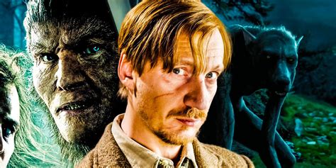 harry potter  remus lupin  fenrir greyback