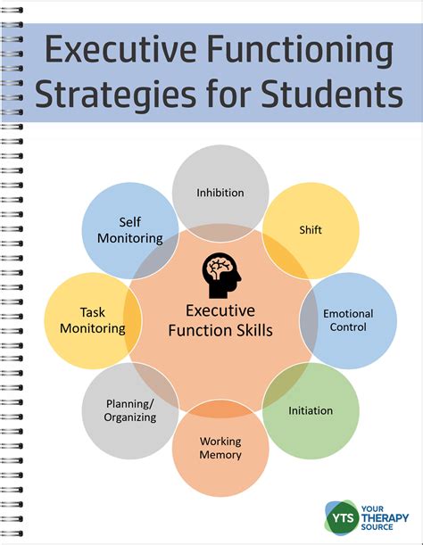 executive functioning strategies  students  therapy source