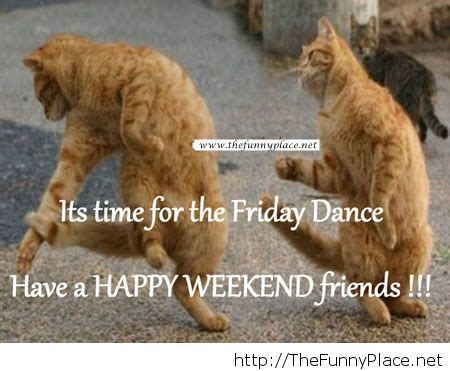 happy weekend funny image thefunnyplace