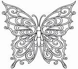 Coloring Butterfly Pages Template Whimsical Fancy Productid Urbanthreads Aspx sketch template