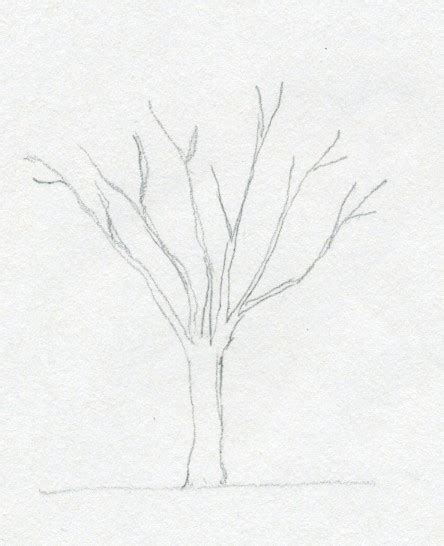 draw  tree simply  easily