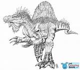 Ausmalbild Spinosaurus Jurassic Dinosaurier Ausmalen Tyrannosaurus Ark Evolved Gorgosaurus Spinosauro Inspirierend Dinosauri Dinosaure Theropod Indominus Wiring Getdrawings Tyrannosaurid Kidsworksheetfun Allosaurus sketch template