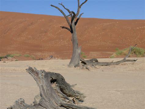 classic namibia  drive nature travel namibia