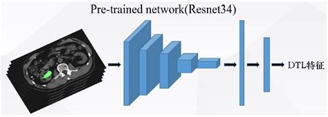 by fusing radiomics and deep transfer learning features development of