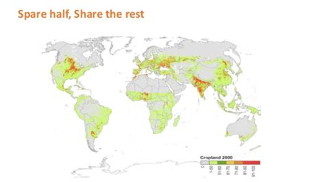 2019 Global Food Policy Report Launch And 2019 Eat Lancet