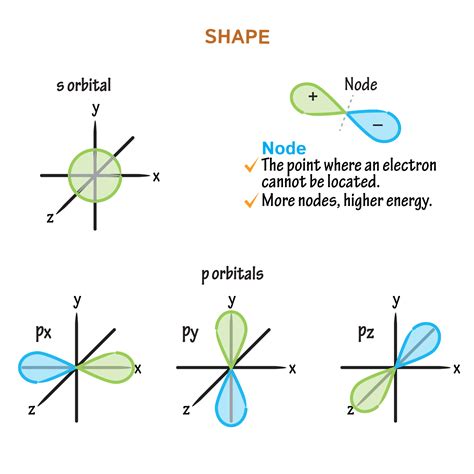 biochemistry glossary orbitals  shape draw