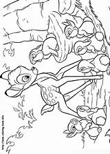 Bambi Kolorowanki Dzieci Colorir Coloriage sketch template