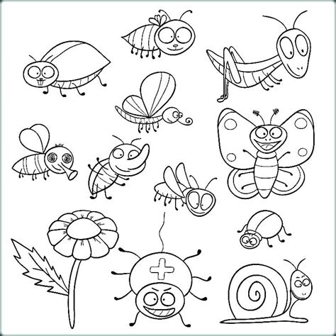 insect coloring page images