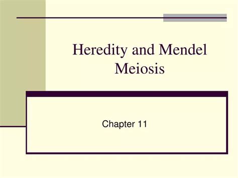 Ppt Heredity And Mendel Meiosis Powerpoint Presentation Free