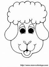 Colorat Pecora Animale Poodle Mouton Oi Schafe Sheep Perro P06 Coloriage Planse Schaf Primiiani Copii Potete Caso Cambiare Plansa Desene sketch template
