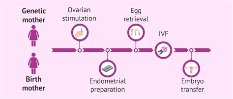 shared maternity or reciprocal ivf