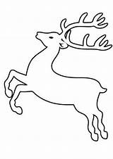 Reindeer Karácsonyi Sablon Szarvas Minta Sheets Restoremajorityrule Templates Projektek Kreatív Tulamama Renne Saute Coloriage Decoplage Mentve Lagret sketch template