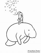 Manatee Coloring Pages Manatees Getcolorings Printable Popular sketch template
