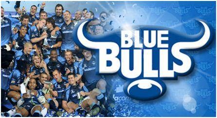 groepes joins blue bulls  currie cup coza rugby news  scores results fixtures