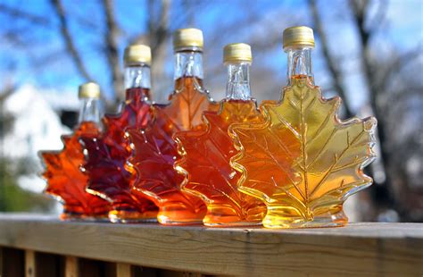maple syrup grades       expect