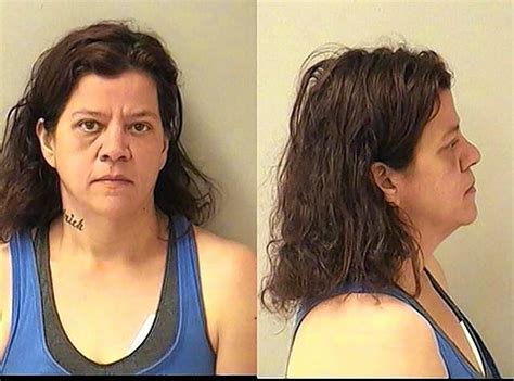 Homeless Woman Charged With April Aurora Library Attack