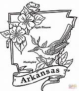 Arkansas Coloring Pages Printable State Flag Illinois Tattoo Razorbacks Color Kids Supercoloring Facts Colorings Colorado Template Getcolorings Getdrawings Choose Board sketch template