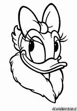 Duck Daisy Coloring Pages Head Mickey Donald Printable Face Mouse Minnie Outline Print Drawing Clipart Cliparts Disney Dinokids Kids Christmas sketch template