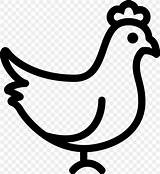 Beak Rooster Blackandwhite Livestock Favpng sketch template