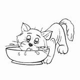 Milk Kitten Lapping Coloring Cat Surfnetkids Pages sketch template