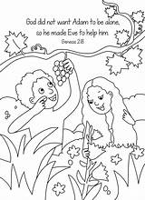 Coloring Creation Preschool Bible Pages Eve Adam Sheet Verse Memory Children Activities Choose Board Pre Flower sketch template