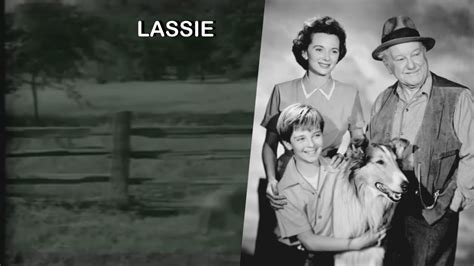 1954 Série Lassie Youtube