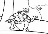 Coloring Tortoise Turtle Slow Down Wecoloringpage sketch template