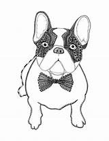 Bulldog French Drawing Line Easy Frances Getdrawings Illustration sketch template