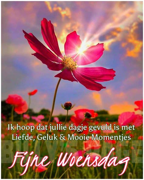 afbeelding goedemorgen woensdag start  day   vibrant image