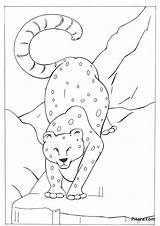 Leopard Pitara sketch template