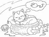 Cat Dreaming Coloring Categories sketch template