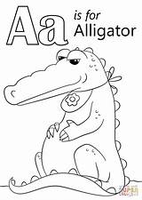 Coloring Alligator Letter Pages Printable Print Preschool Animals Abc Activities Book Supercoloring Choose Board Crafts sketch template