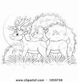 Deer Outline Pair Coloring Bushes Illustration Royalty Bannykh Alex Clipart Clip Doe 2021 sketch template